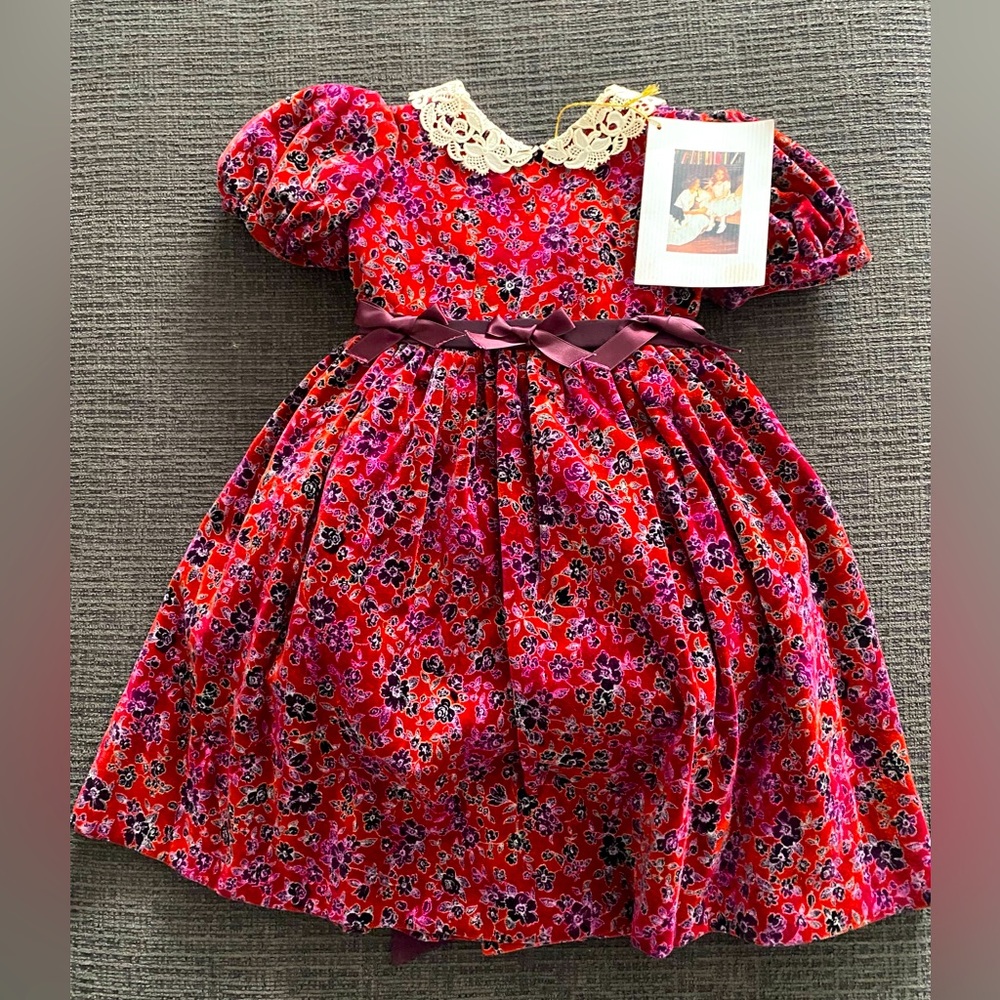 Joan Calabrese Velvet Floral Dress